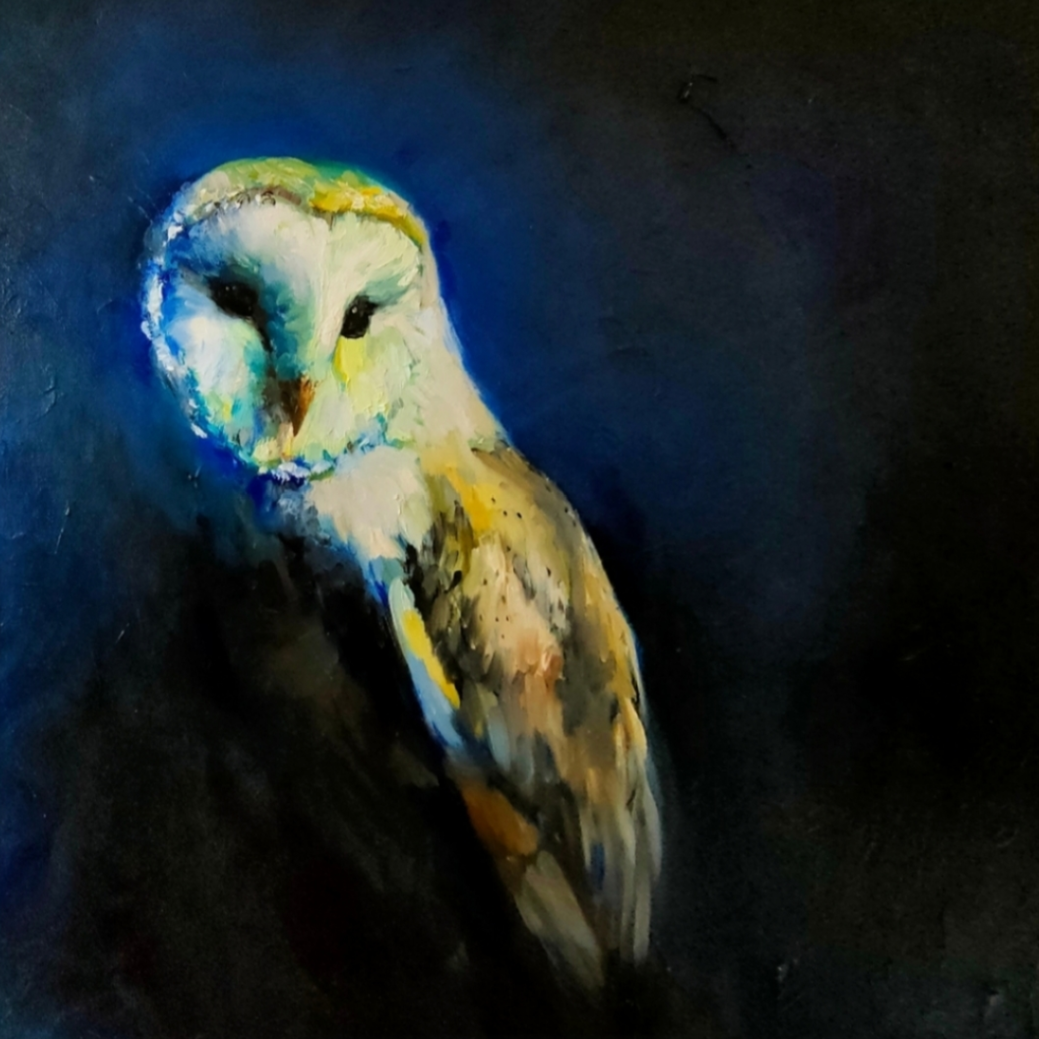 Canvas Print ' Midnight Haunt' 50 x 50 cm