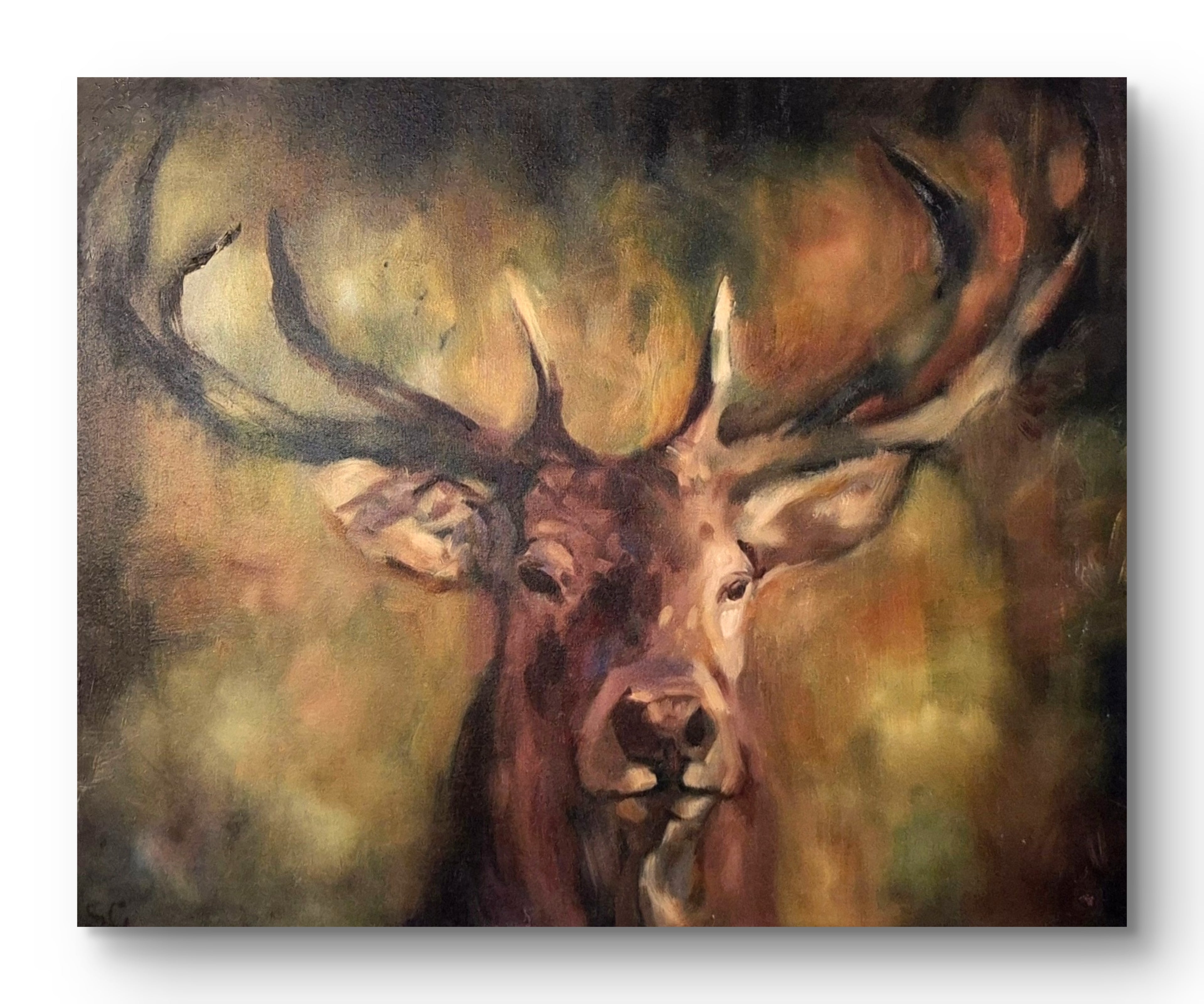 Woodlander- 60 x 76 cm/24 x 36 "