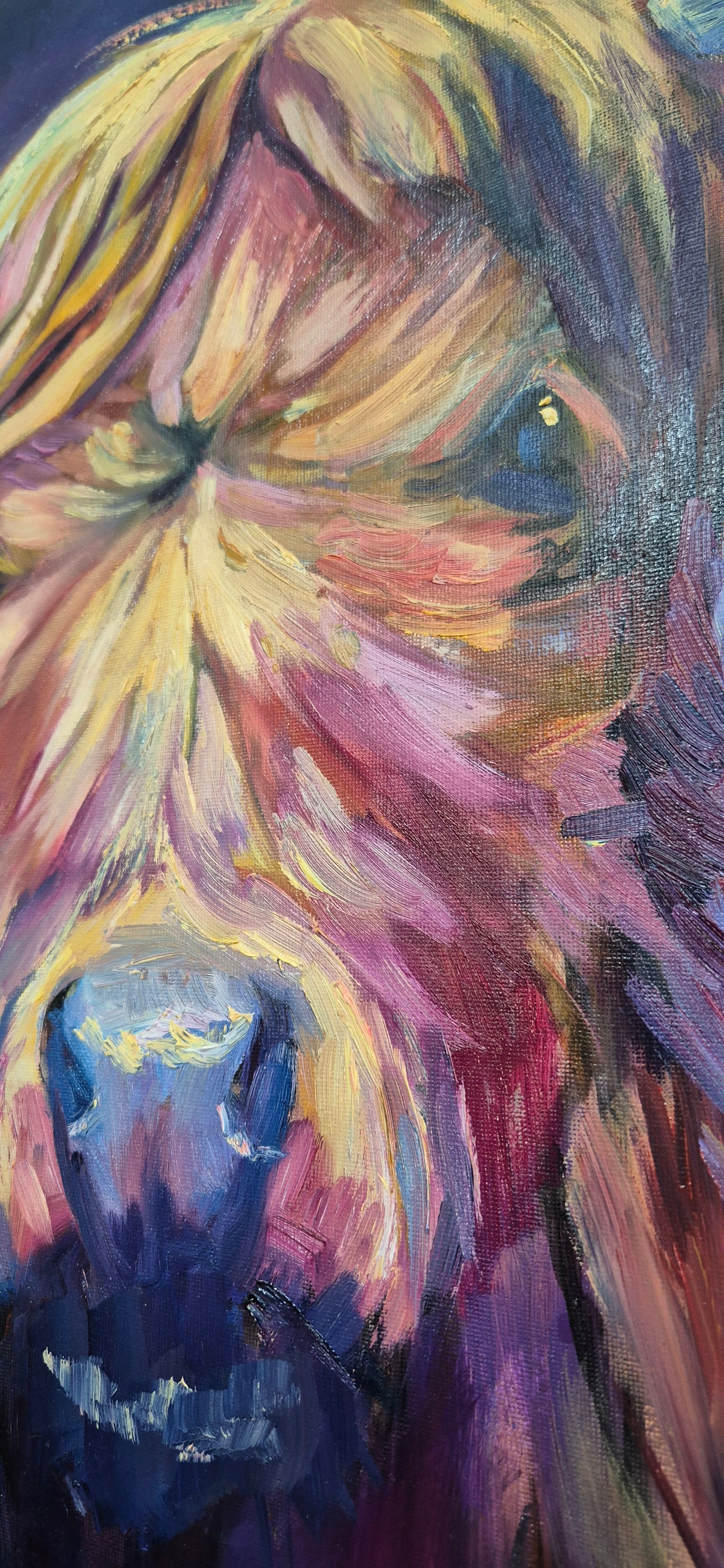 'Larrimuir' Original Highland Cow Oil Painting. 50 x 80 cm