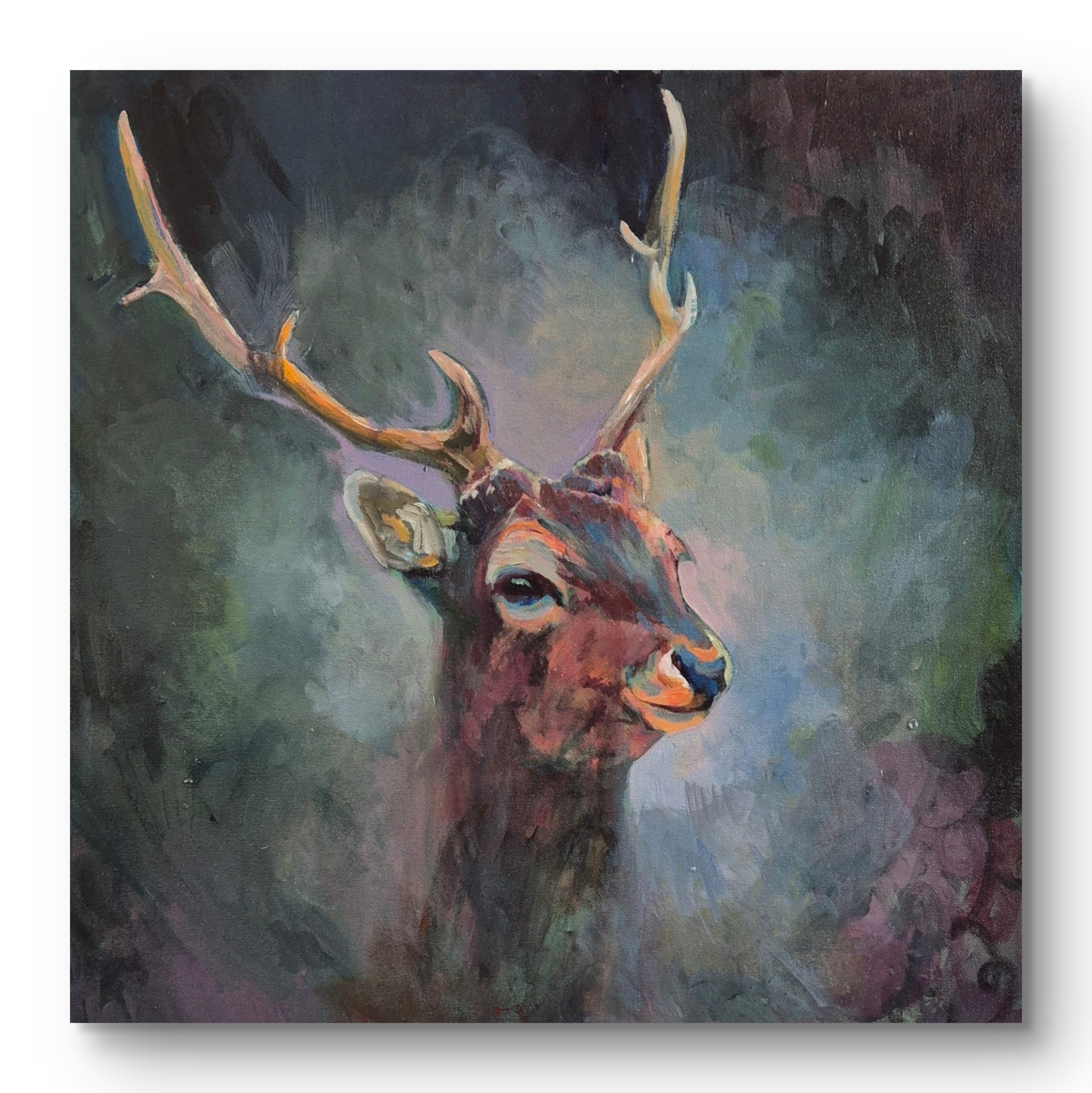 'Carsington' - Original Stag Painting 50 x 50 cm
