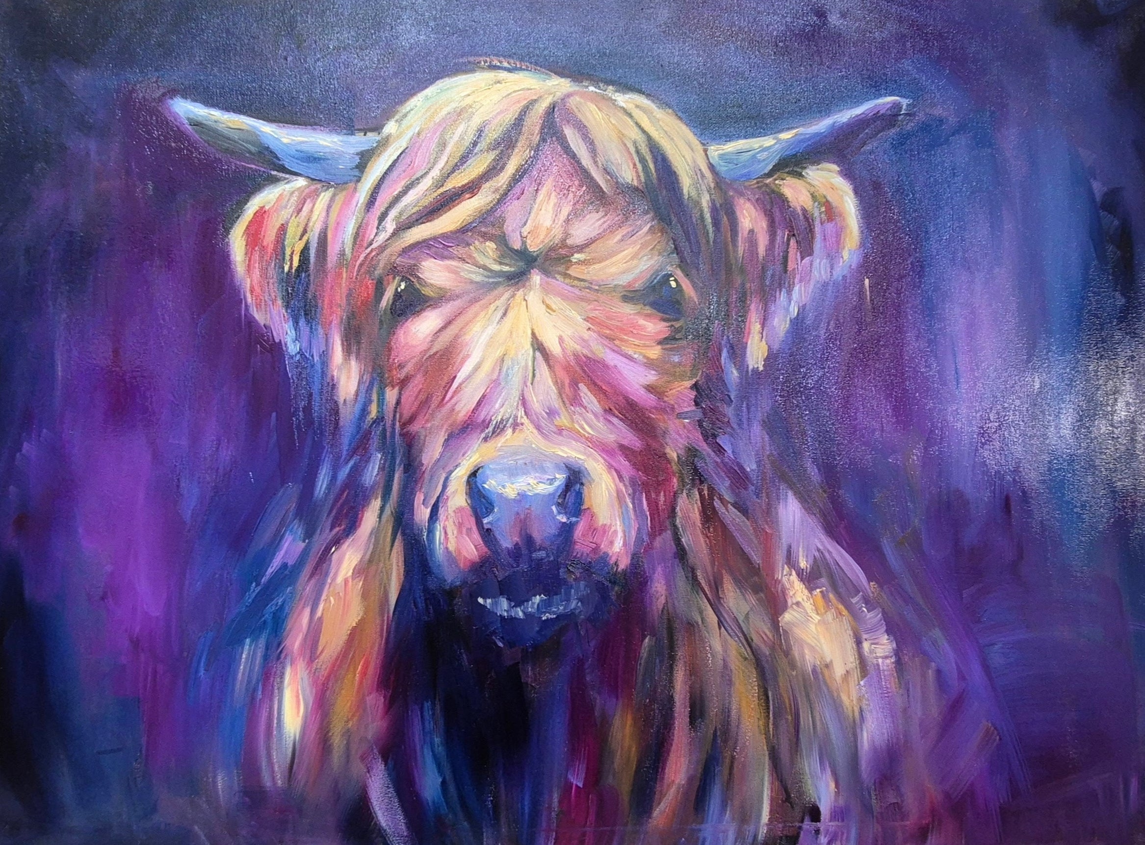 'Larrimuir' Original Highland Cow Oil Painting. 50 x 80 cm