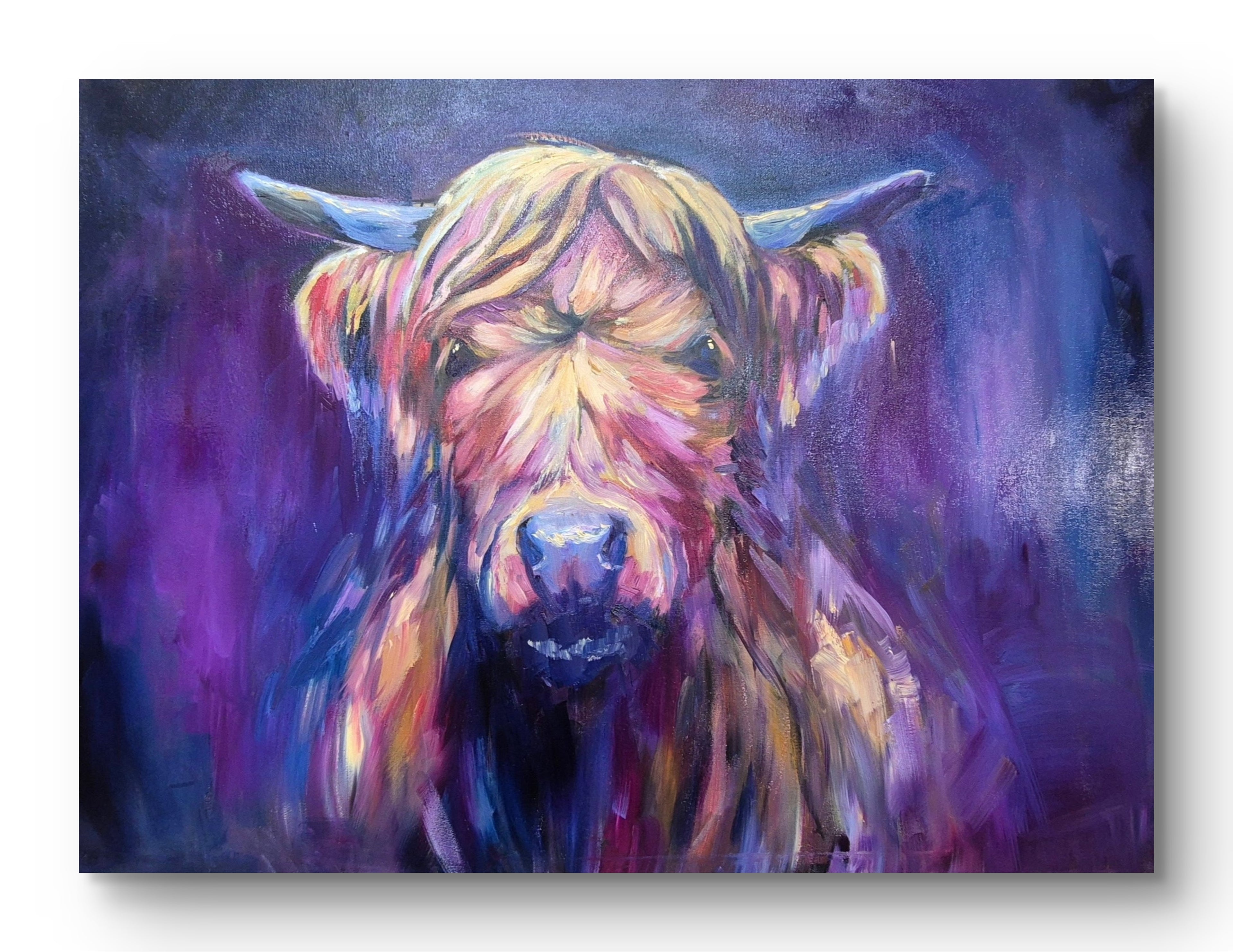 'Larrimuir' Original Highland Cow Oil Painting. 50 x 80 cm