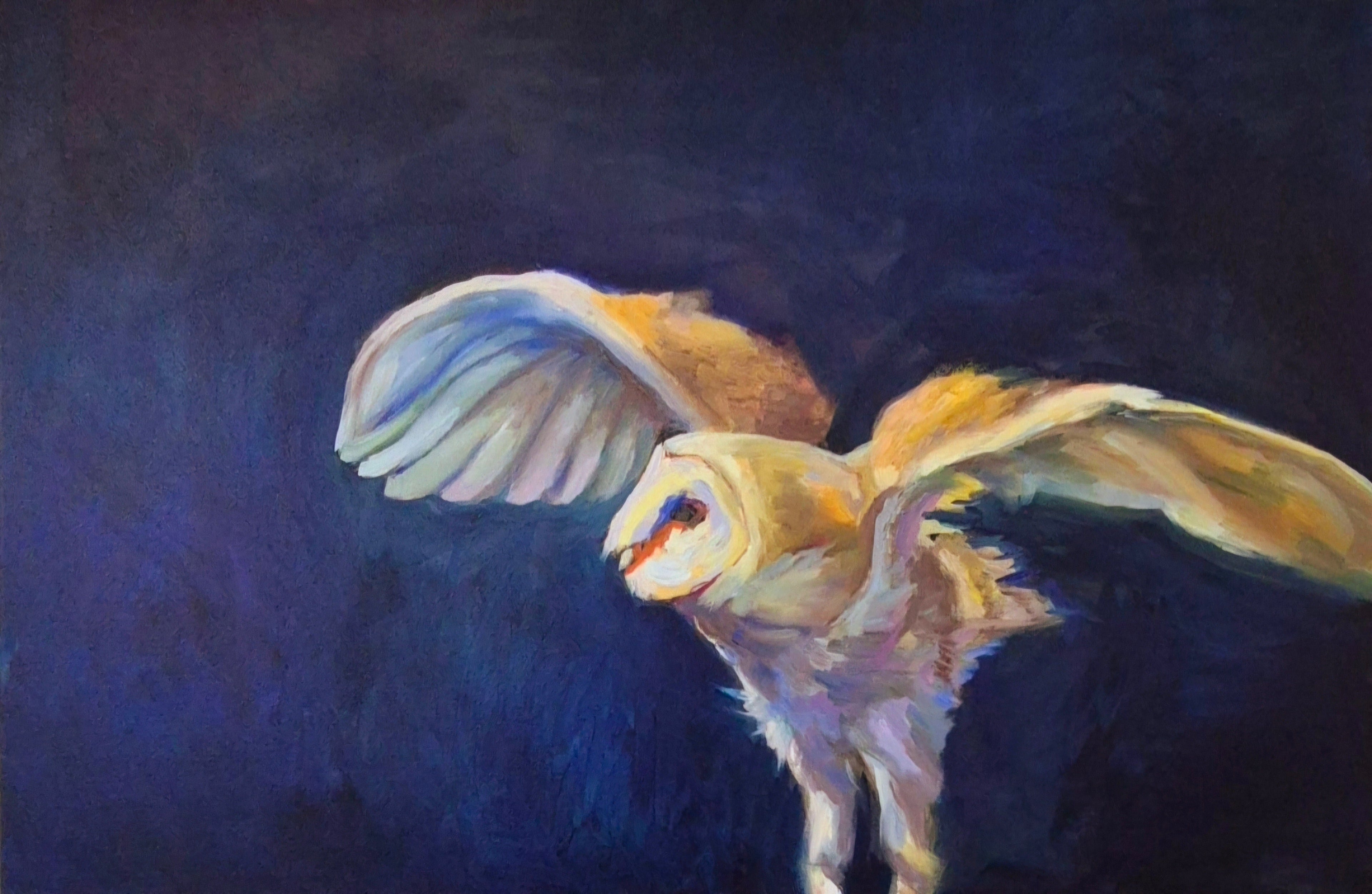 'Take-off' - Original Barn Owl Oil Painting - 50 x 80 cm