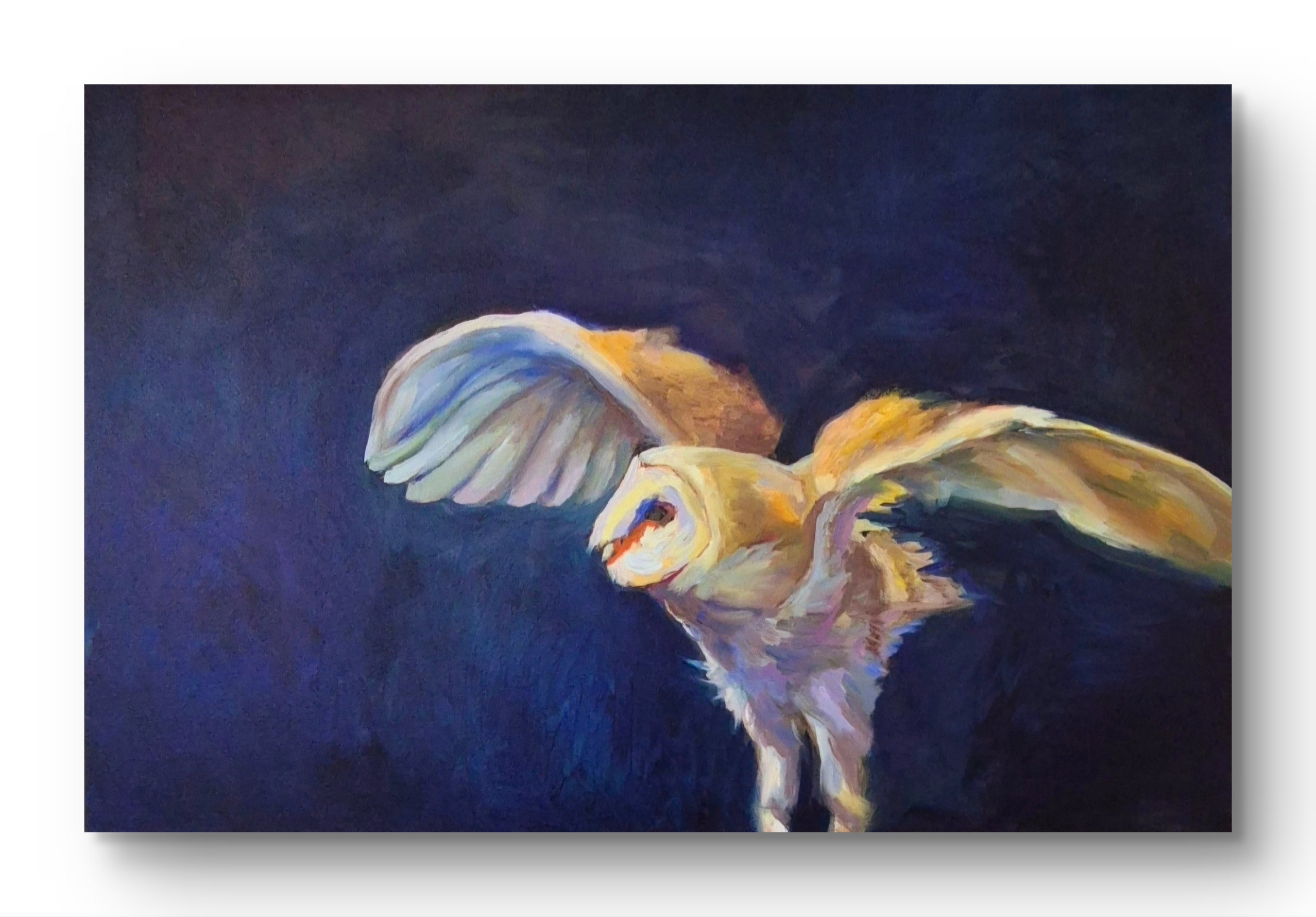 'Take-off' - Original Barn Owl Oil Painting - 50 x 80 cm